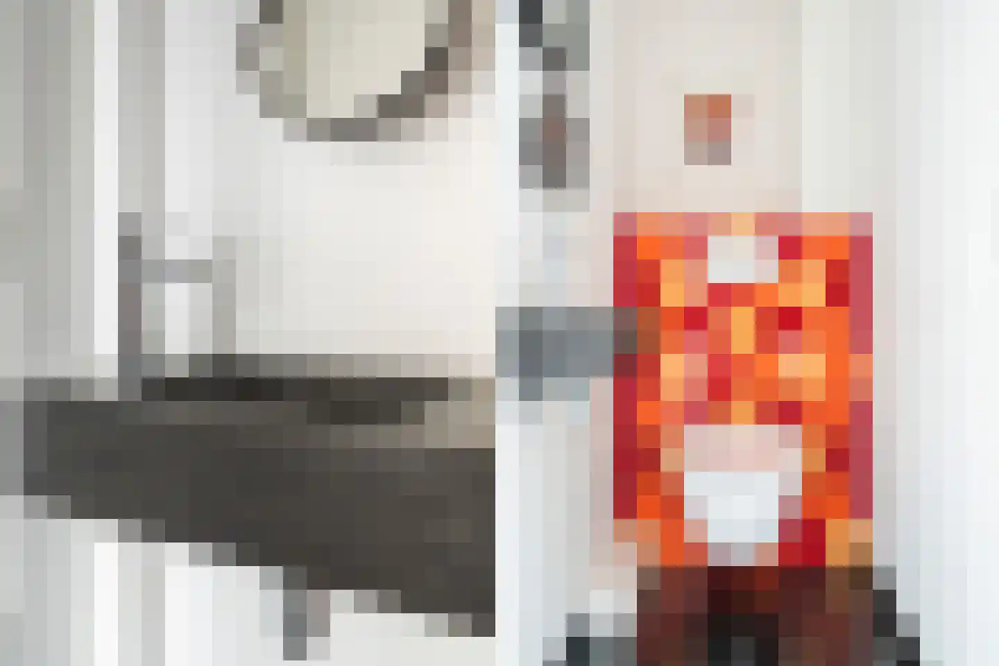 Theresiastraat 111 B Den Haag thumbnail 30