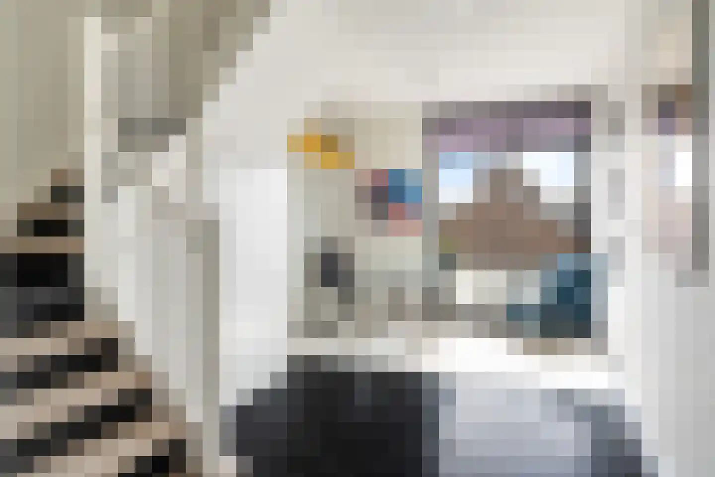 Theresiastraat 111 B Den Haag thumbnail 31