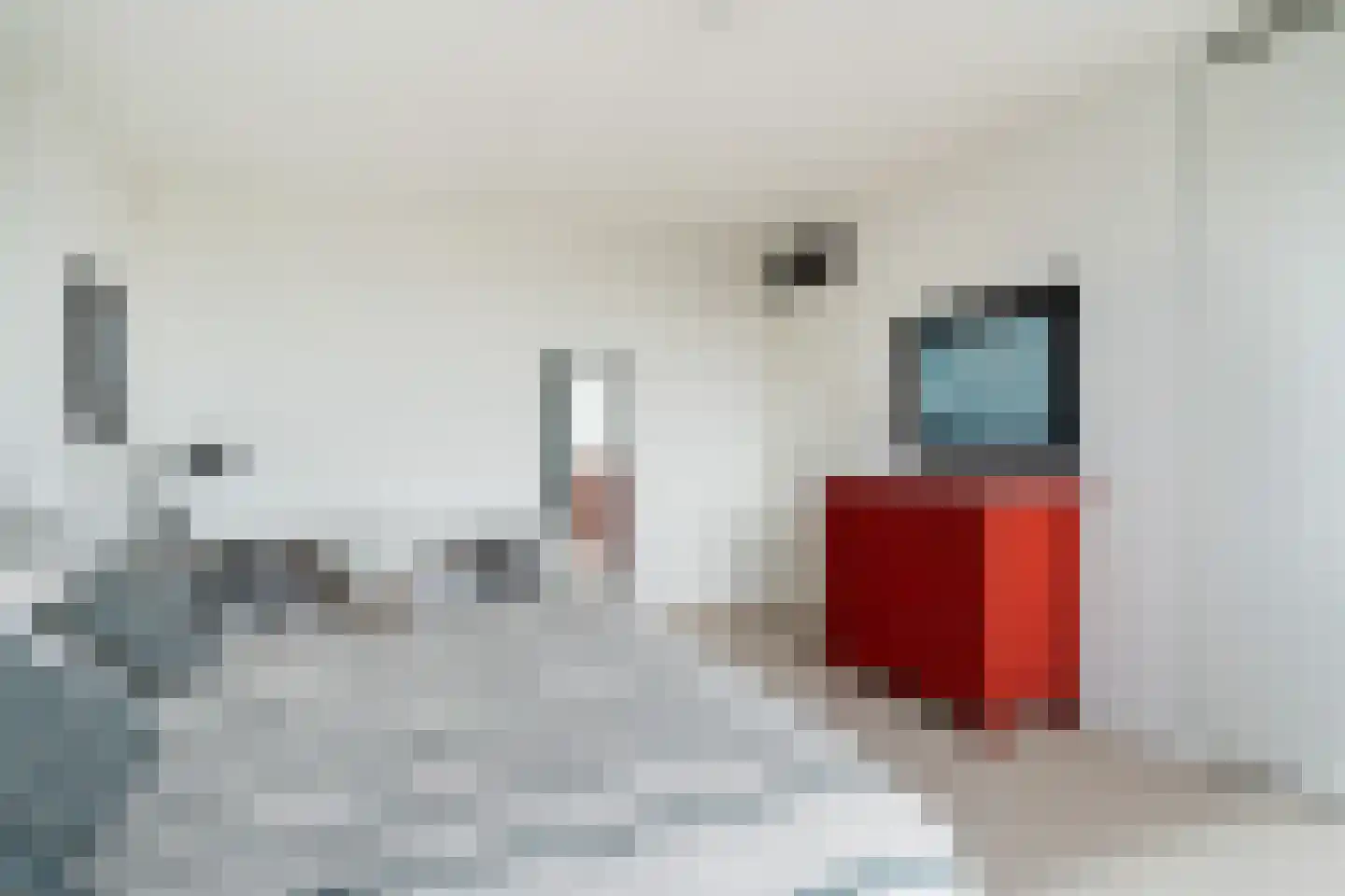 Theresiastraat 111 B Den Haag thumbnail 34