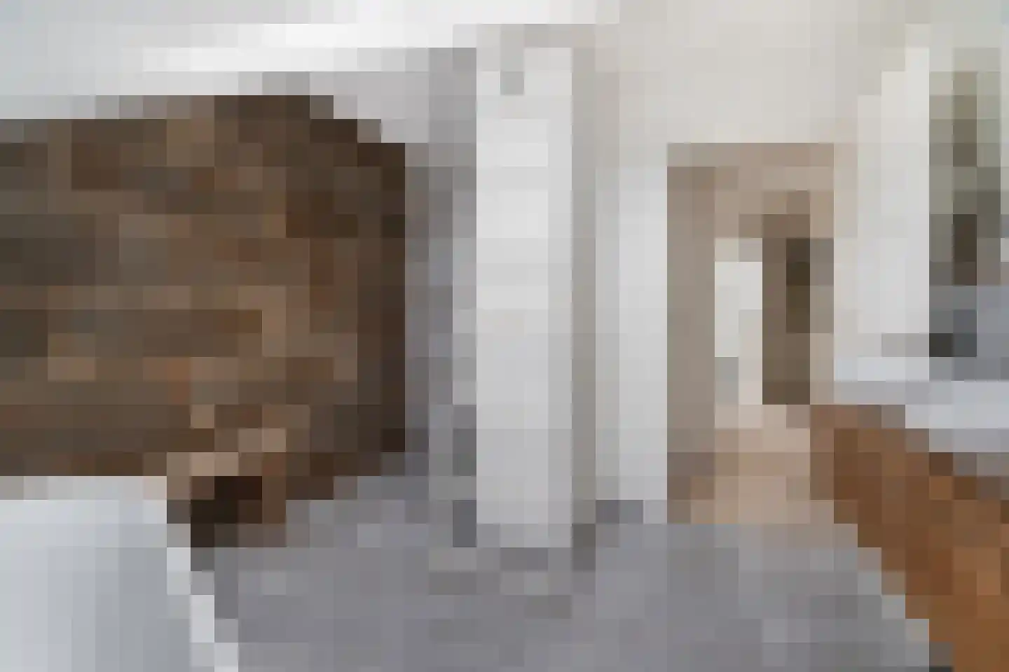 Theresiastraat 111 B Den Haag thumbnail 46