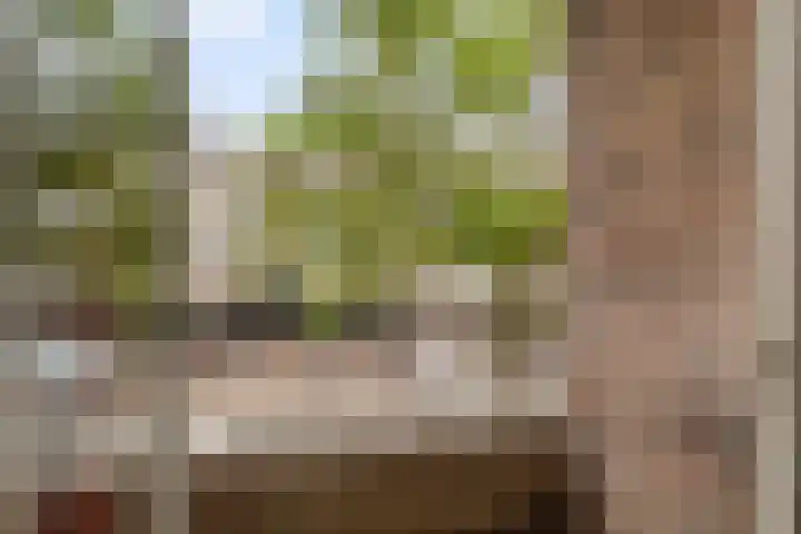 Theresiastraat 113 B Den Haag thumbnail 14