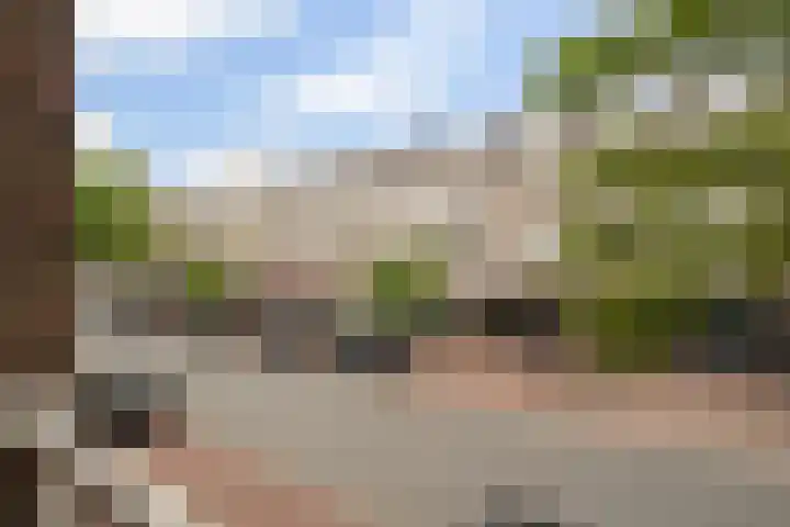 Theresiastraat 113 B Den Haag thumbnail 15