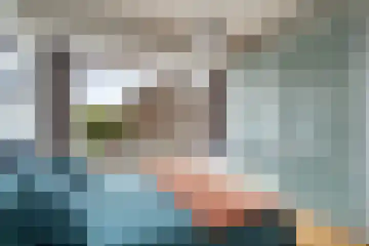 Theresiastraat 113 B Den Haag thumbnail 20