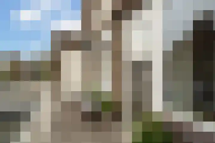 Theresiastraat 113 B Den Haag thumbnail 24