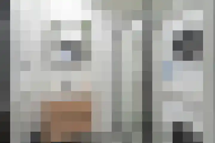 Theresiastraat 113 B Den Haag thumbnail 26