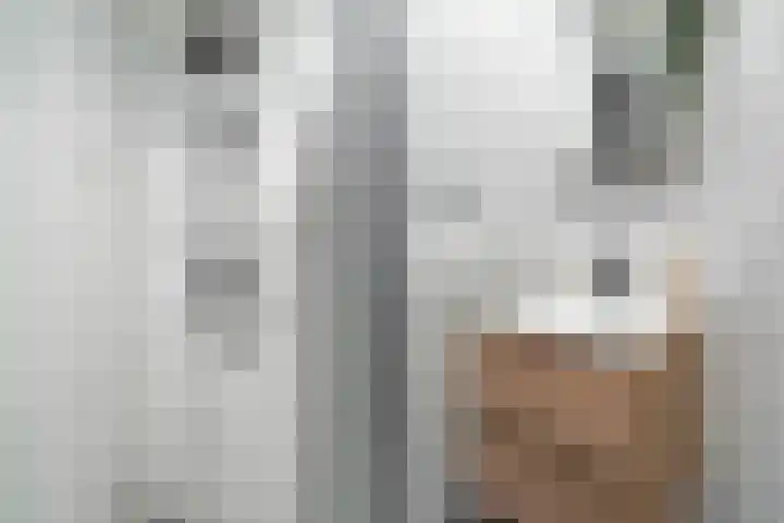 Theresiastraat 113 B Den Haag thumbnail 27