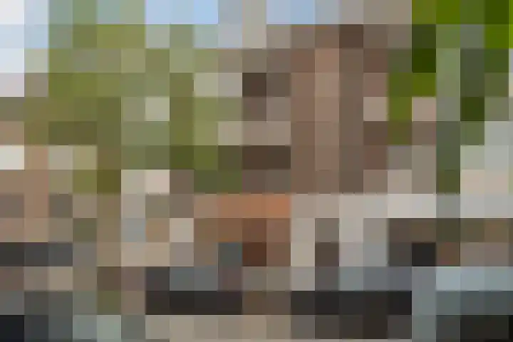 Theresiastraat 113 B Den Haag thumbnail 4