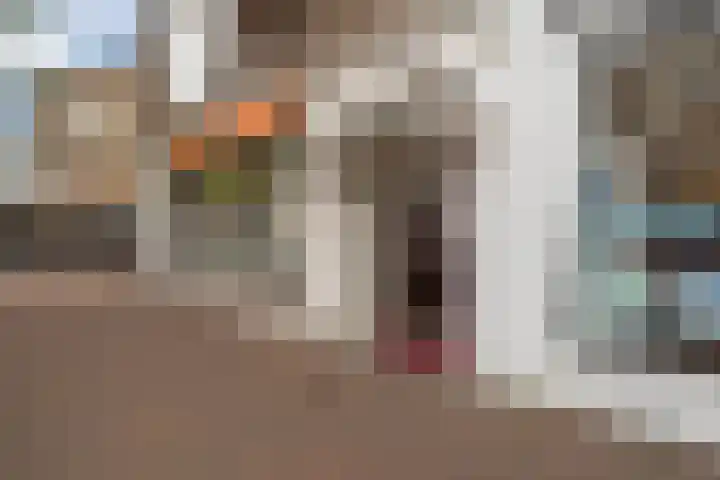 Theresiastraat 113 B Den Haag thumbnail 5