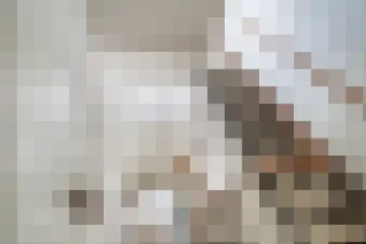 Theresiastraat 113 B Den Haag thumbnail 6