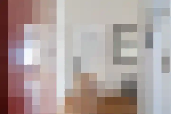 Theresiastraat 113 B Den Haag thumbnail 7