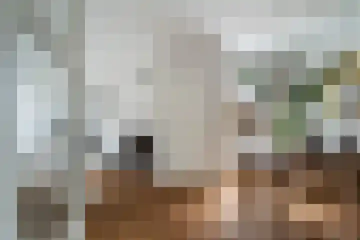 Theresiastraat 113 B Den Haag thumbnail 8