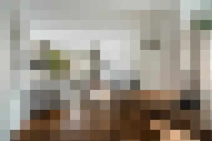 Theresiastraat 113 B Den Haag thumbnail 9
