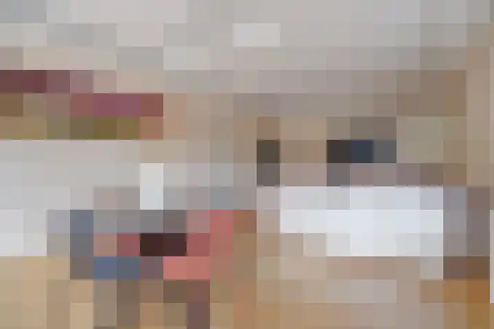 Theresiastraat 12 B Den Haag thumbnail 10