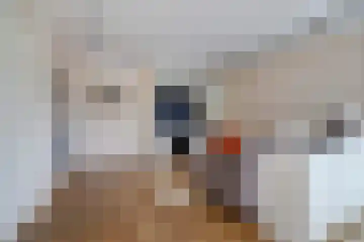 Theresiastraat 12 B Den Haag thumbnail 11