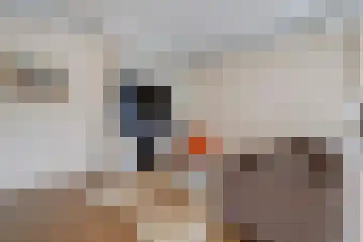 Theresiastraat 12 B Den Haag thumbnail 12
