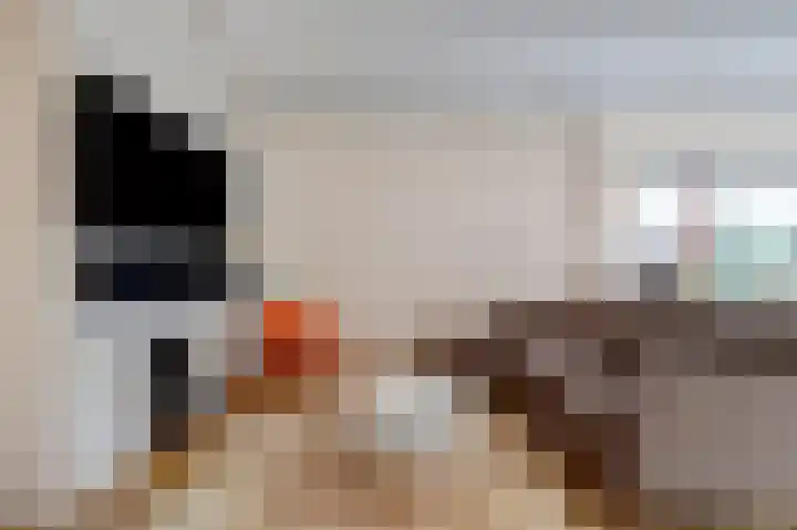 Theresiastraat 12 B Den Haag thumbnail 13