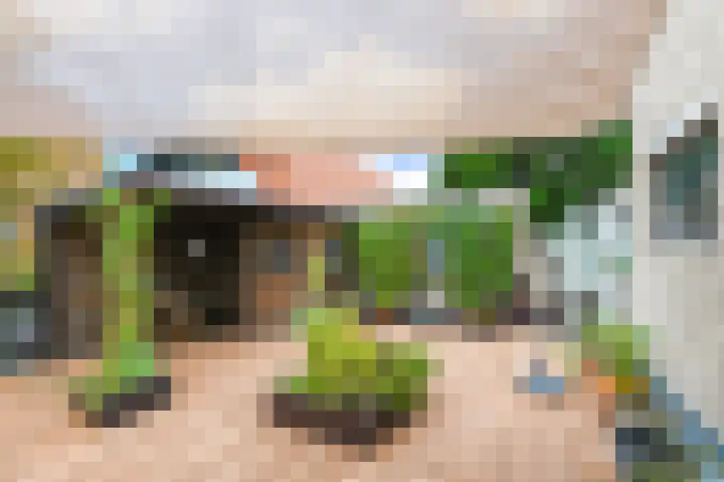 Theresiastraat 12 B Den Haag thumbnail 13