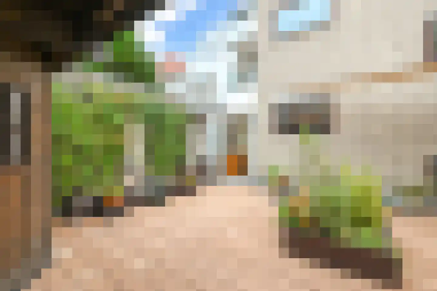 Theresiastraat 12 B Den Haag thumbnail 15