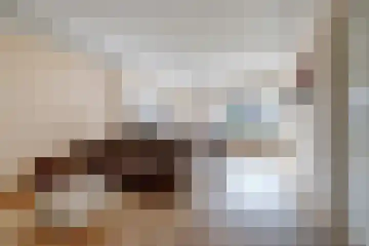 Theresiastraat 12 B Den Haag thumbnail 5