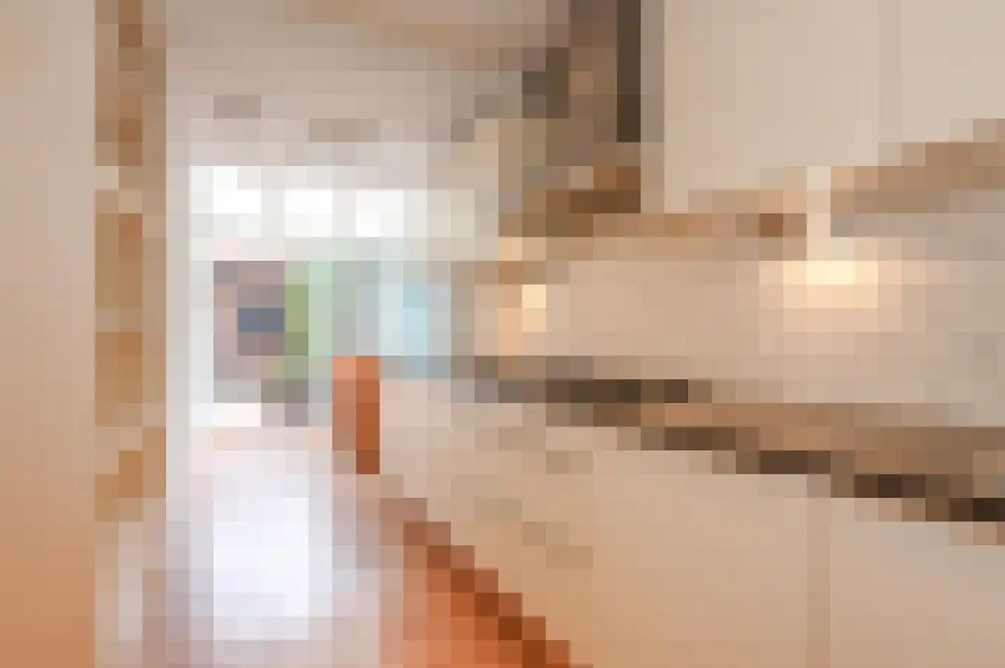 Theresiastraat 12 B Den Haag thumbnail 7