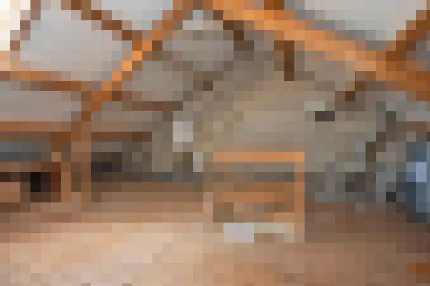 Theresiastraat 12 Borne thumbnail 21