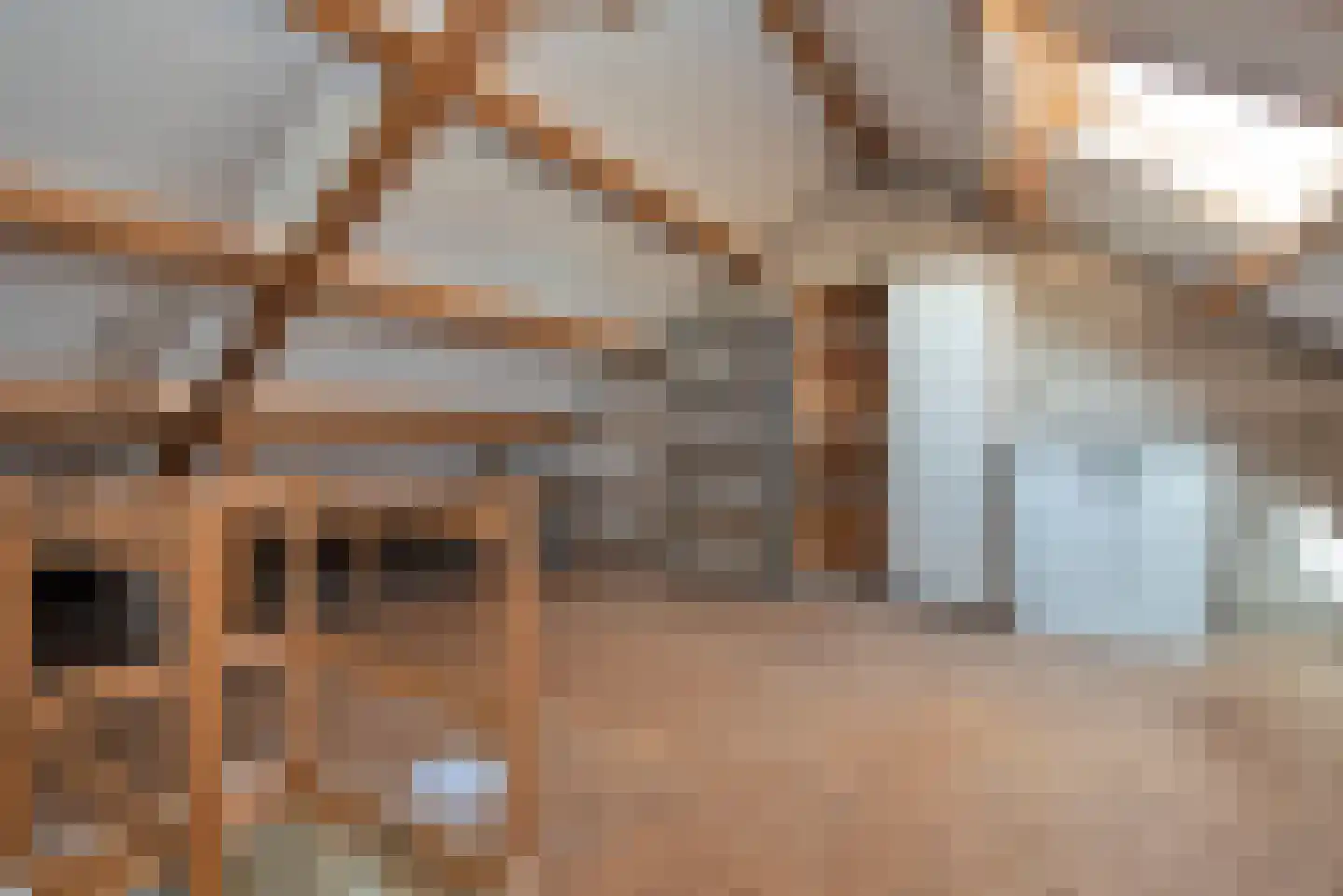 Theresiastraat 12 Borne thumbnail 22