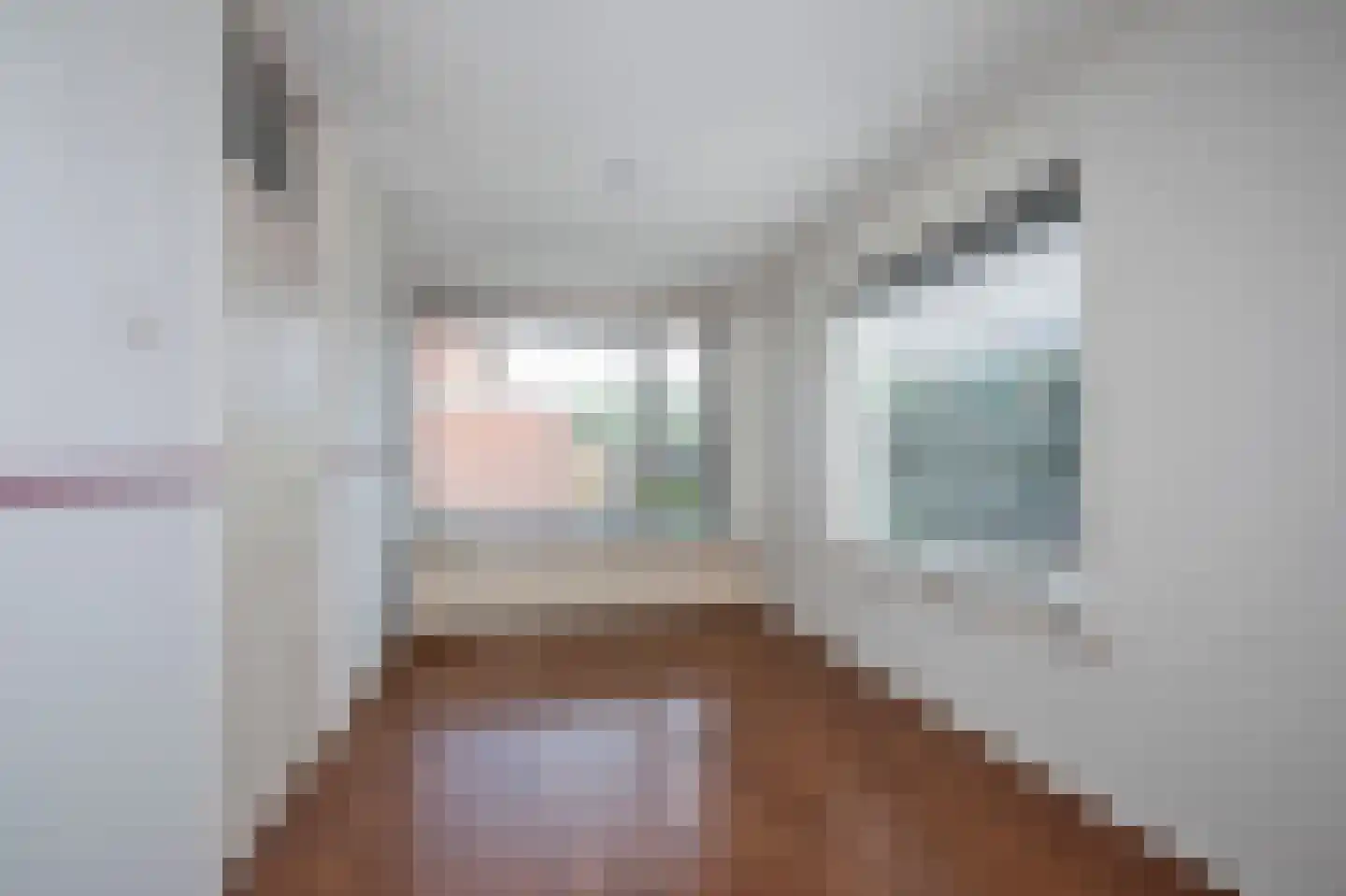 Theresiastraat 12 Borne thumbnail 8