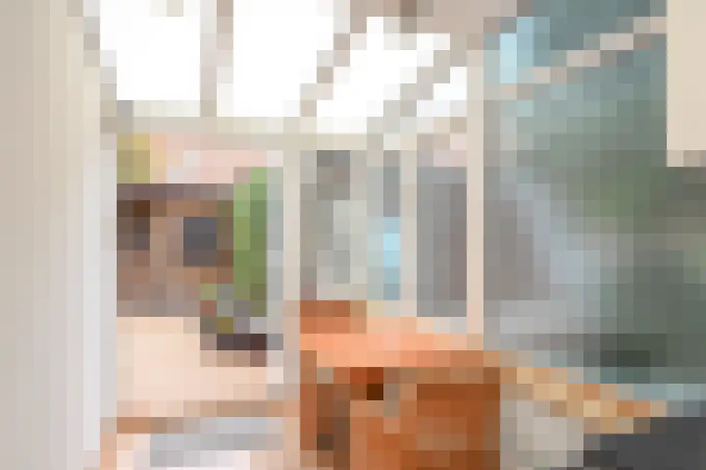 Theresiastraat 12 C Den Haag thumbnail 10