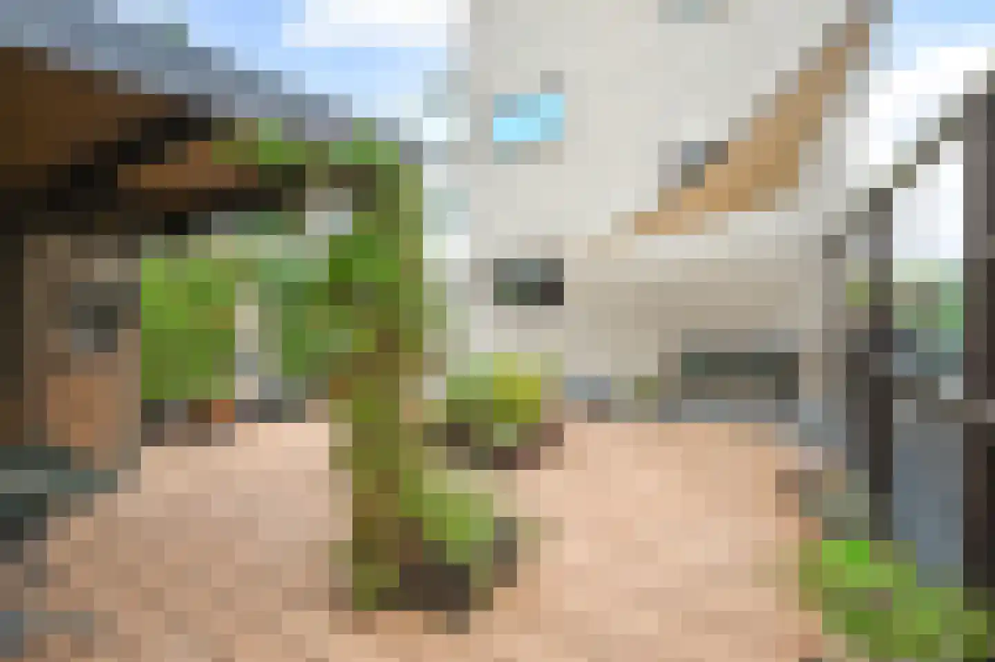 Theresiastraat 12 C Den Haag thumbnail 4