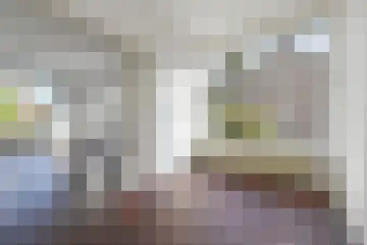 Theresiastraat 125 A Den Haag thumbnail 15
