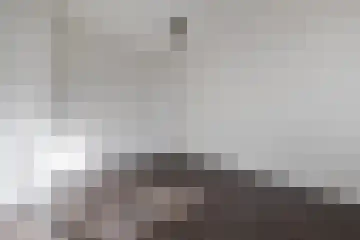 Theresiastraat 125 A Den Haag thumbnail 22