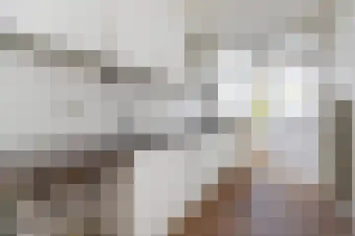 Theresiastraat 125 A Den Haag thumbnail 24