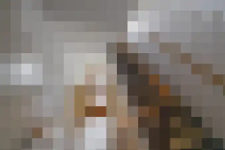 Theresiastraat 125 A Den Haag thumbnail 7