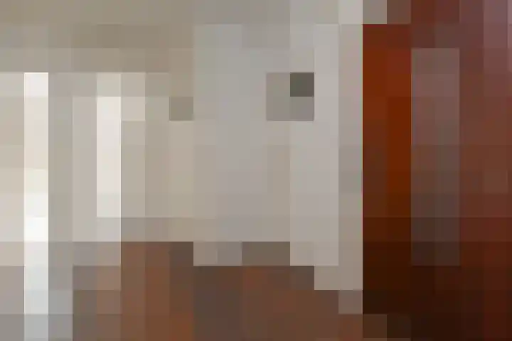 Theresiastraat 125 A Den Haag thumbnail 9