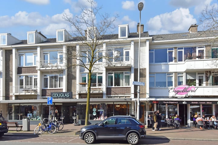 Theresiastraat 136 en 's-Gravenhage foto