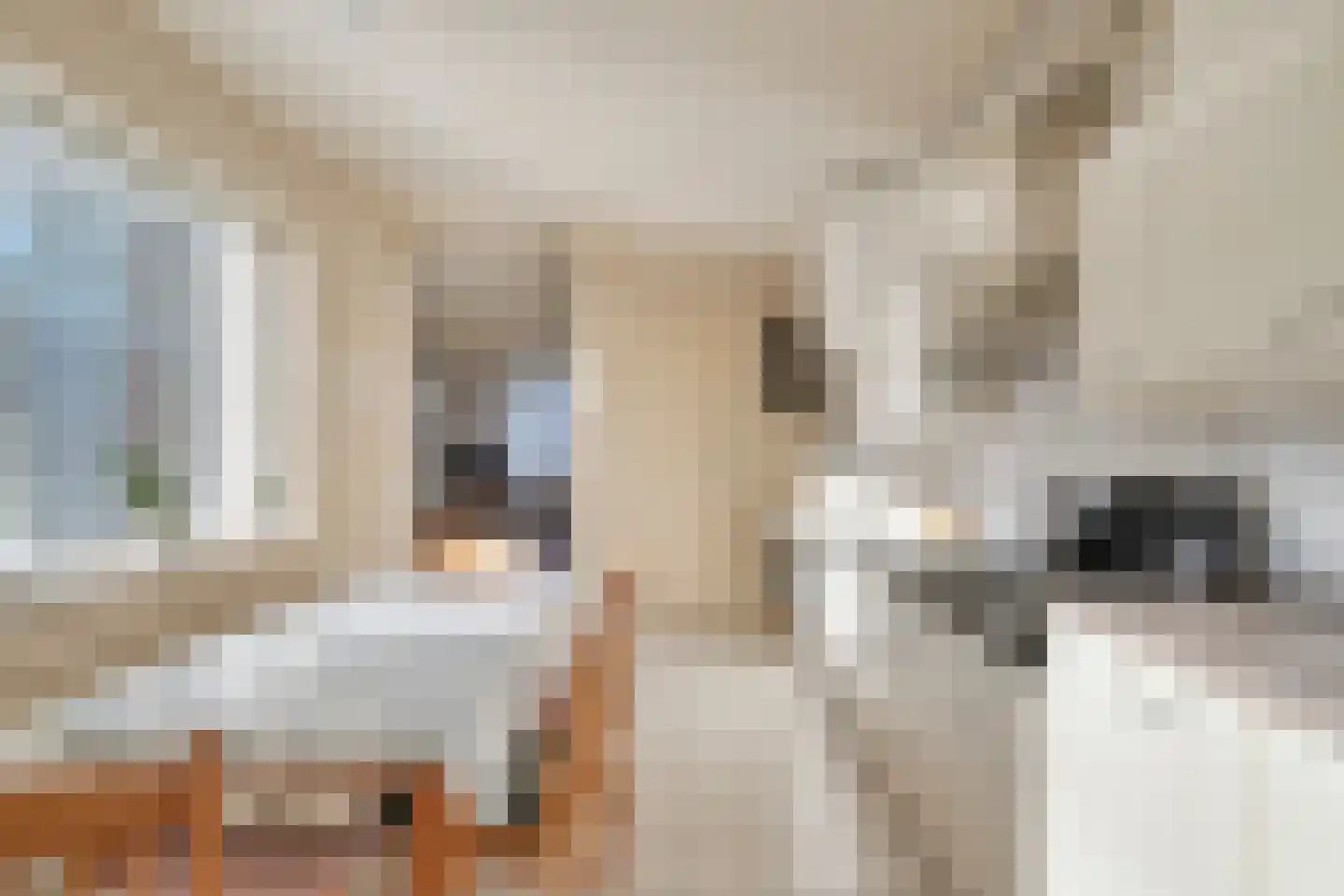 Theresiastraat 18 Tilburg thumbnail 10