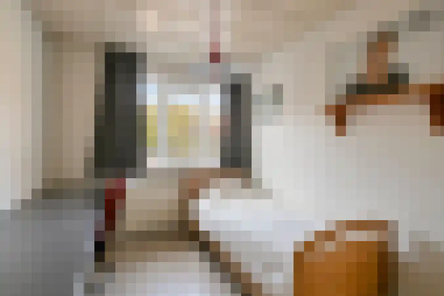 Theresiastraat 18 Tilburg thumbnail 19