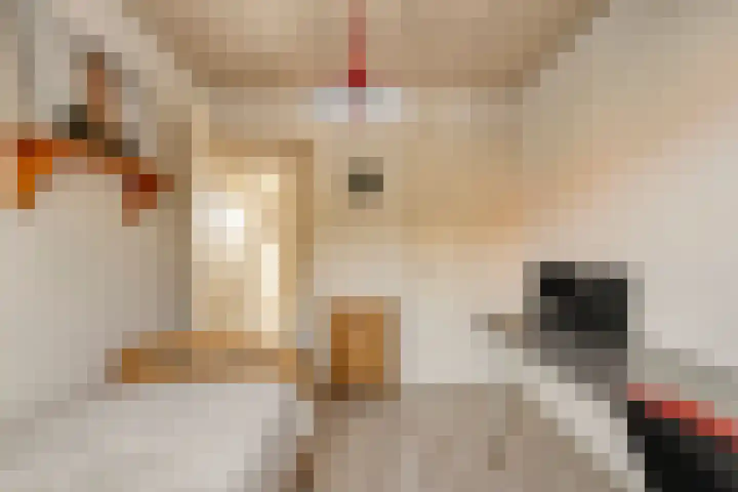 Theresiastraat 18 Tilburg thumbnail 20