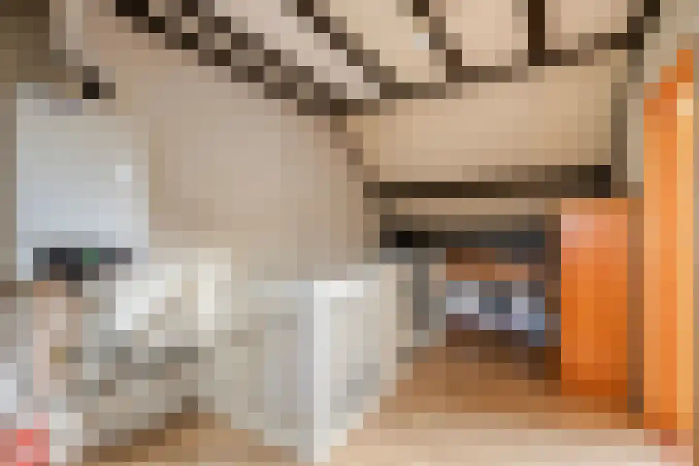 Theresiastraat 18 Tilburg thumbnail 25