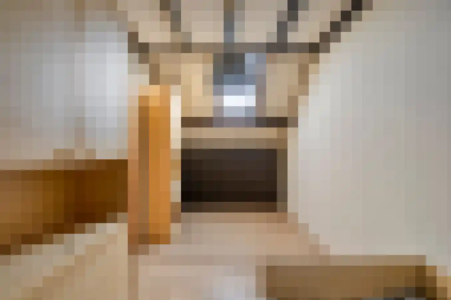Theresiastraat 18 Tilburg thumbnail 27