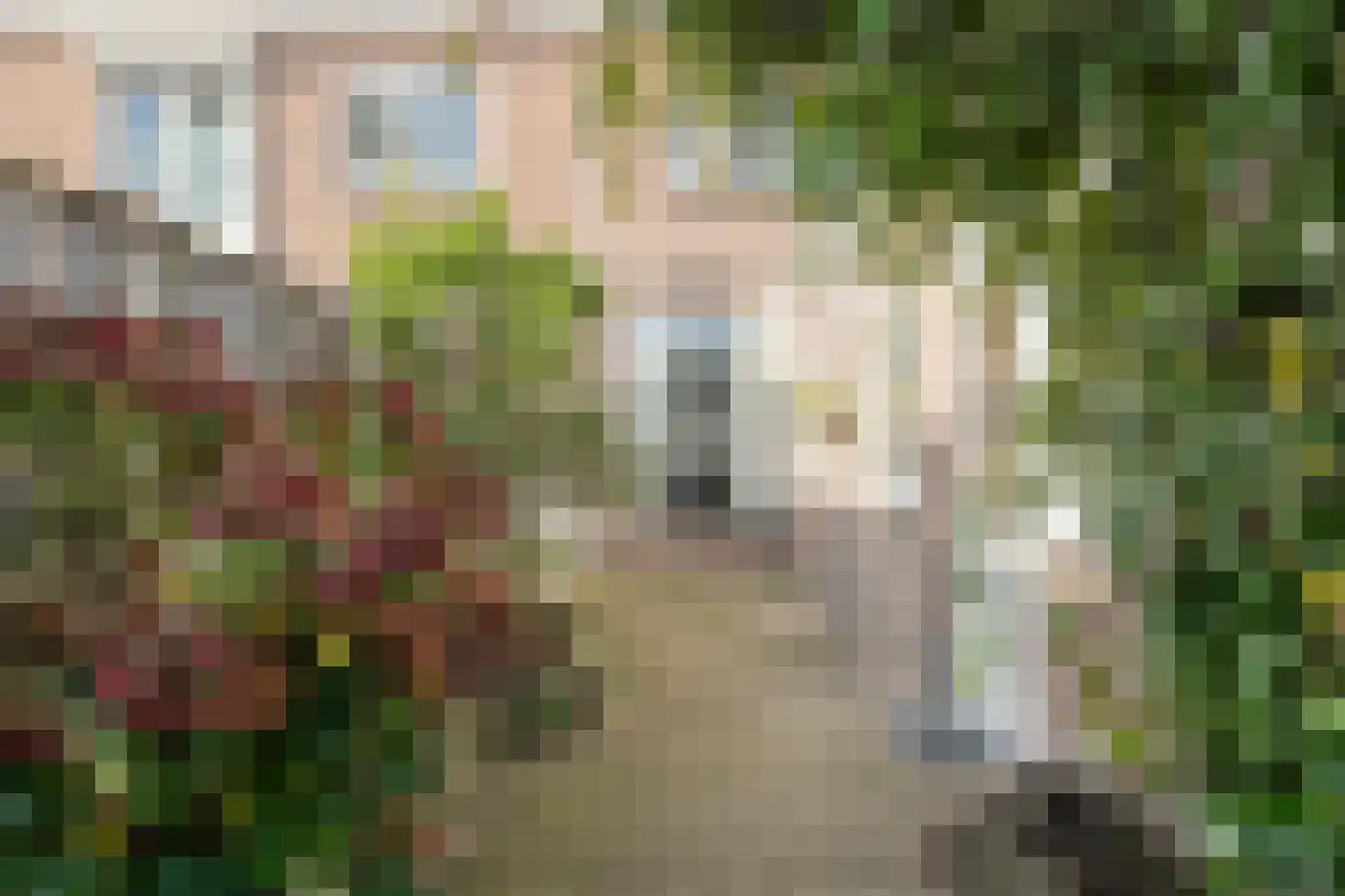 Theresiastraat 18 Tilburg thumbnail 30