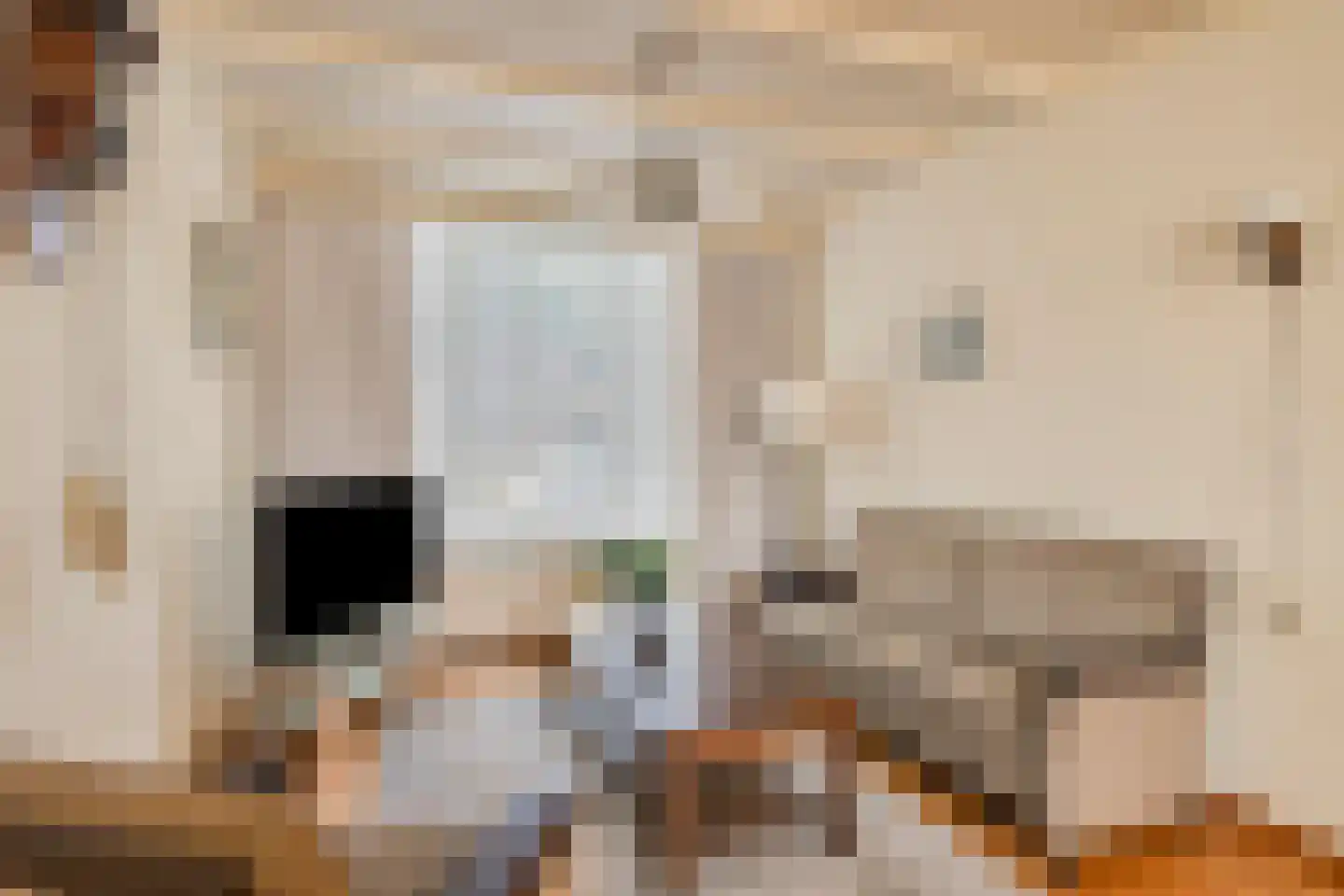 Theresiastraat 18 Tilburg thumbnail 4