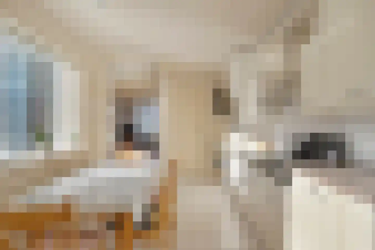 Theresiastraat 18 Tilburg thumbnail 9