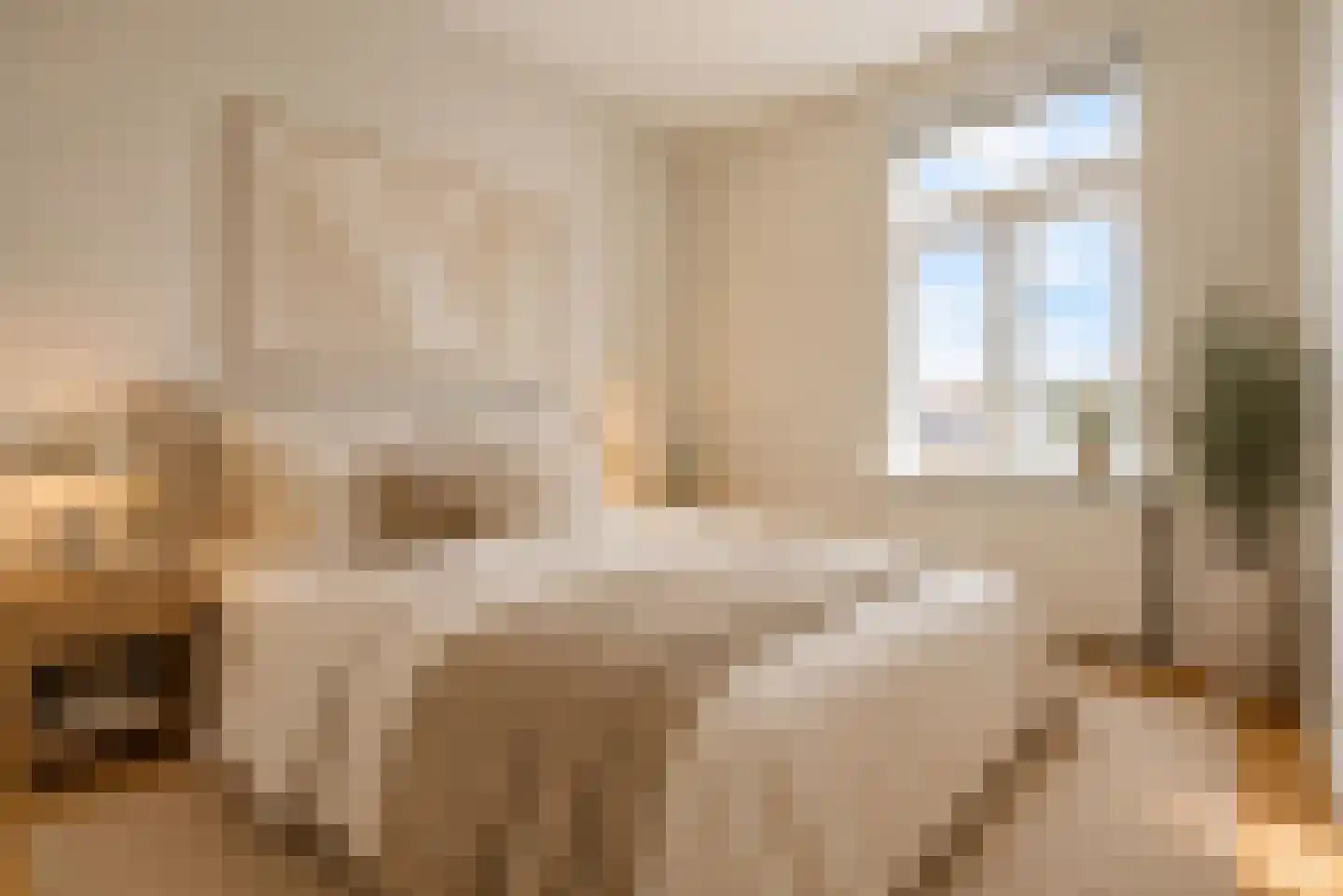 Theresiastraat 192 A Den Haag thumbnail 12