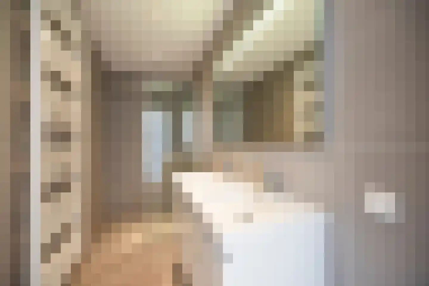 Theresiastraat 192 Den Haag thumbnail 14