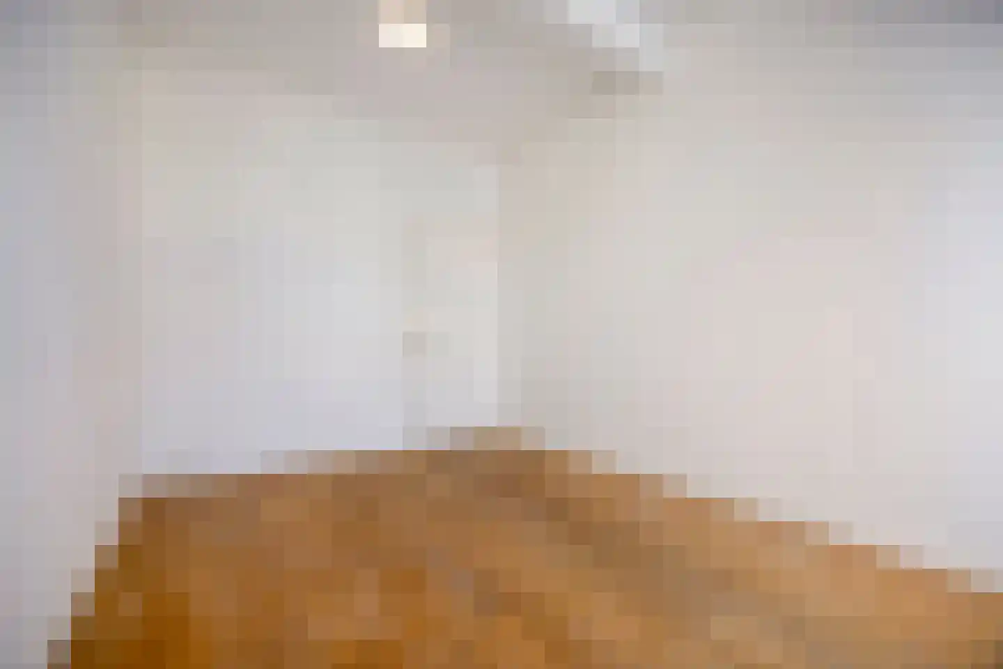 Theresiastraat 192 Den Haag thumbnail 18