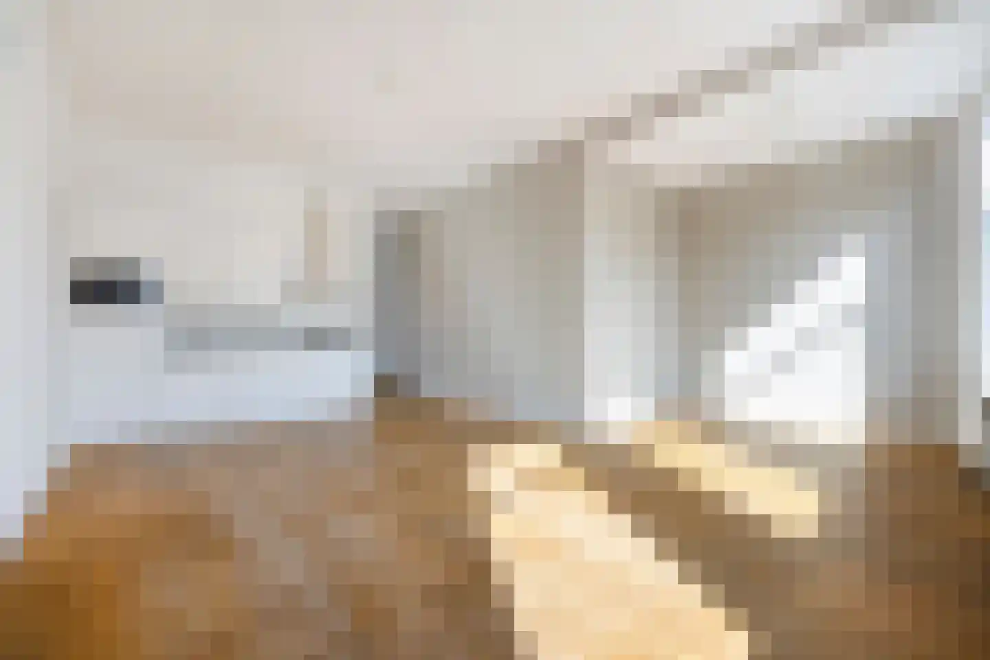 Theresiastraat 192 Den Haag thumbnail 7