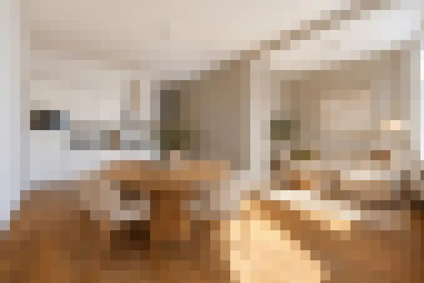 Theresiastraat 192 Den Haag thumbnail 8