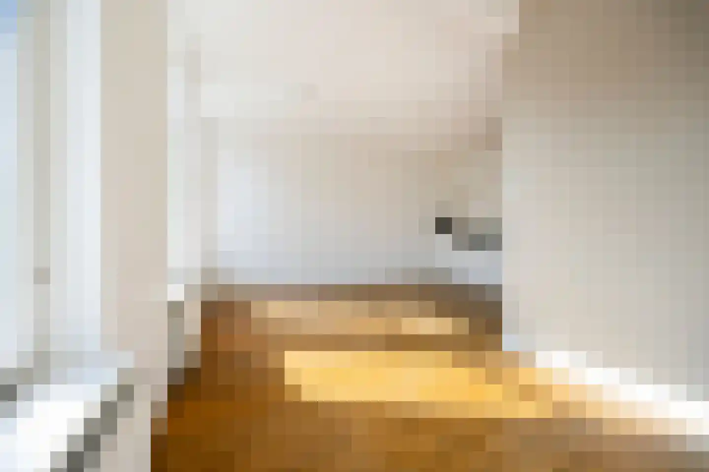 Theresiastraat 192 Den Haag thumbnail 9