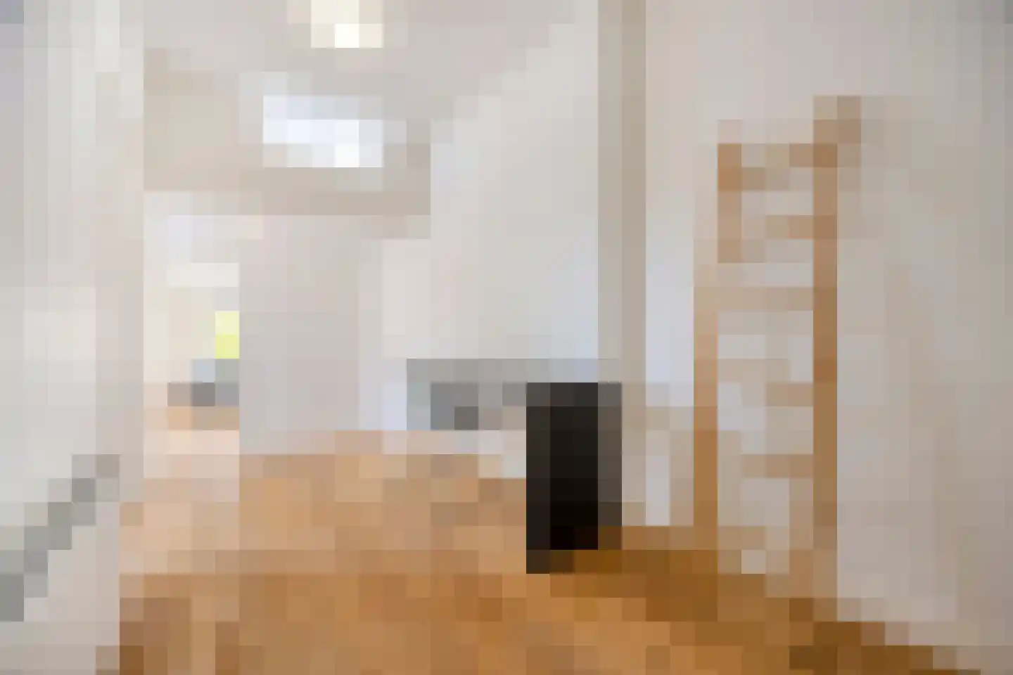 Theresiastraat 196 Den Haag thumbnail 13